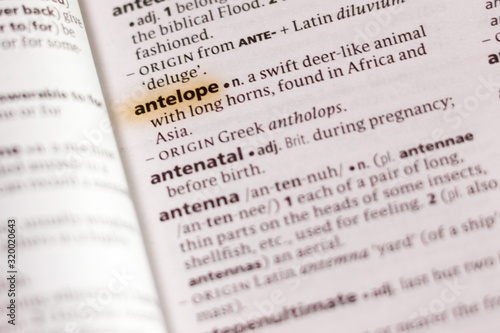 The word or phrase Antelope in a dictionary.