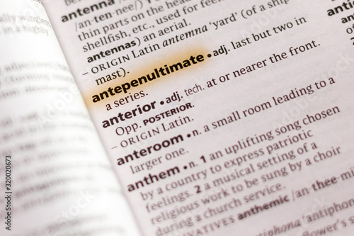 The word or phrase Antepenultimate in a dictionary.