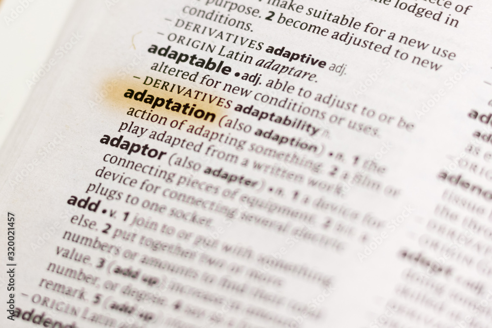Ivanovsk, Russia - November 19, 2018: The word or phrase Adaptation in a dictionary. Ivanovsk, Russia - November 19, 2018: The word or phrase Adaptation in a dictionary.