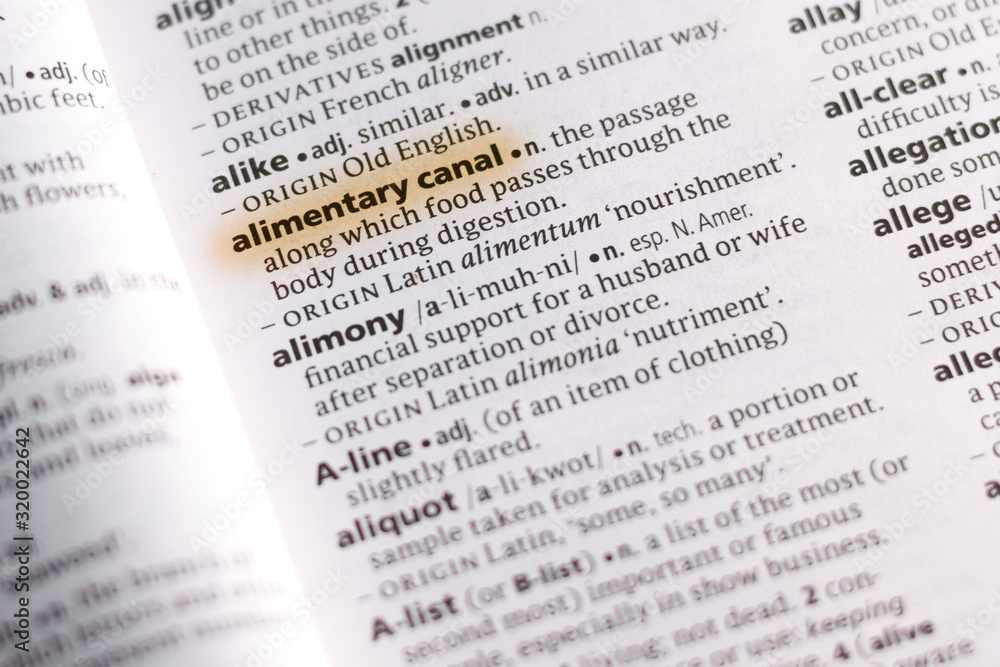 Ivanovsk, Russia - November 19, 2018: The word or phrase Alimentary Canal in a dictionary. Ivanovsk, Russia - November 19, 2018: The word or phrase Alimentary Canal in a dictionary.