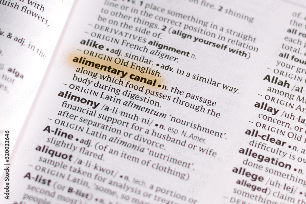 Ivanovsk, Russia - November 19, 2018: The word or phrase Alimentary Canal in a dictionary. Ivanovsk, Russia - November 19, 2018: The word or phrase Alimentary Canal in a dictionary.