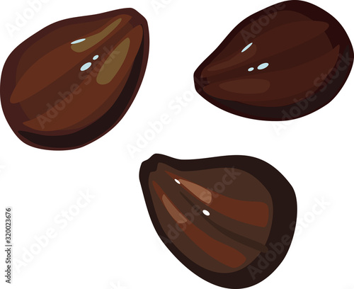 Grape seeds isolated on white background