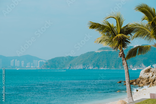 seascape background, tropical beach with palm trees  © nikkimeel