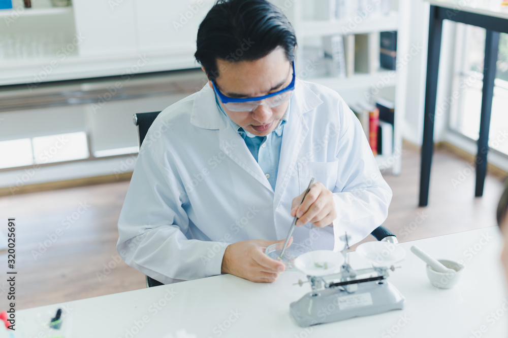 Asian scientists are preparing plant-based materials for testing and analysis in the laboratory. Scientists clear glasses and white shirts. Science and Chemistry Concept Asian scientists are preparing plant-based materials for testing and analysis in the laboratory. Scientists clear glasses and white shirts. Science and Chemistry Concept
