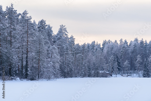 The forest on the ice lake has covered with heavy snow and sky in winter season at Lapland, Finland.