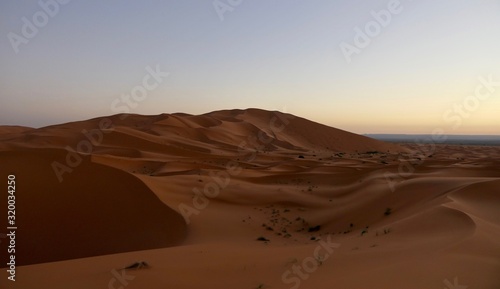 Sand dunes in Sahara with interesting shades and texture in desert landscape during sunrise  Morocco  Africa