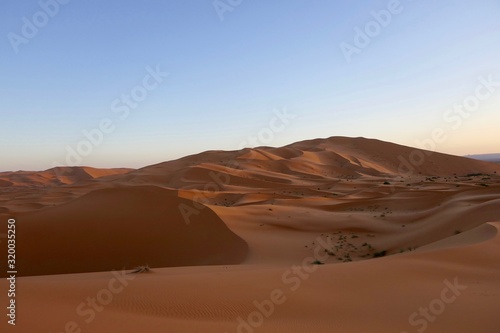 Sand dunes in Sahara with interesting shades and texture in desert landscape during sunrise, Morocco, Africa © HWL Photos