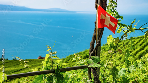 Swiss flag on Vineyard Terraces hiking trail of Lavaux, Lake Geneva and Swiss mountains, Lavaux-Oron district of Switzerland