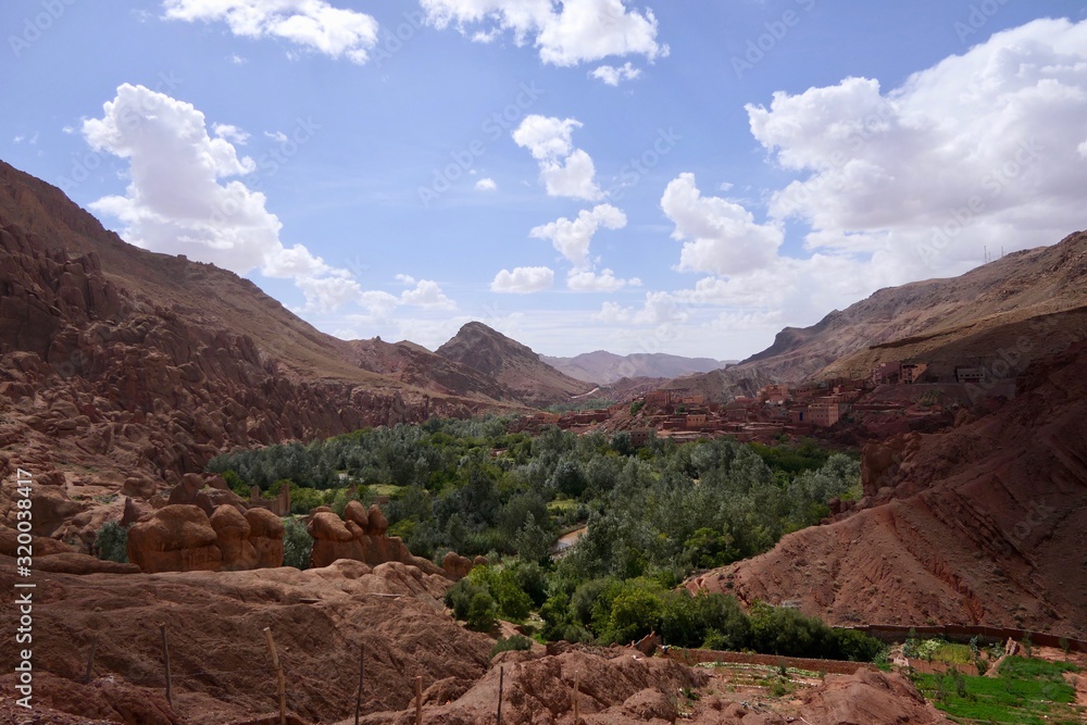 Green gorge with palm trees and cactus in background, surrounded by desert, Morocco, Africa