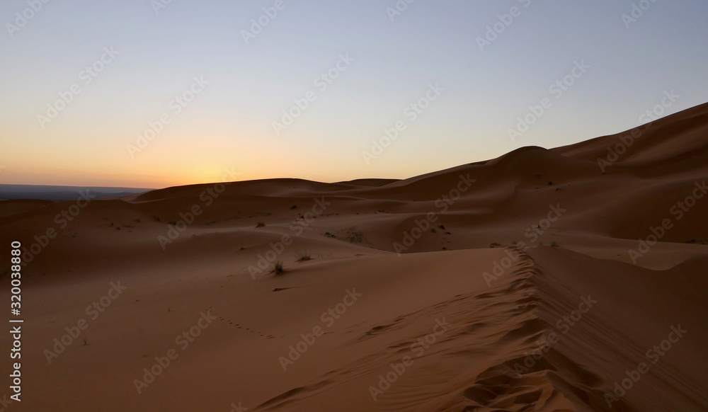 Sand dunes in Sahara with interesting shades and texture in desert landscape during sunrise, Morocco, Africa