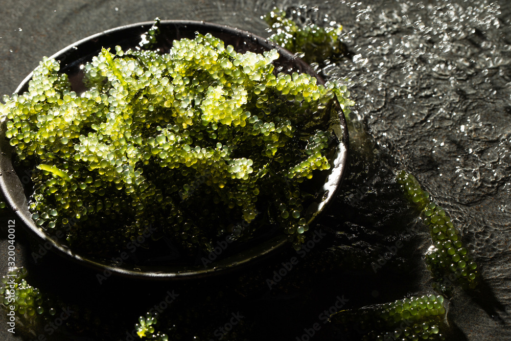 Umibudo Seaweed Sea Grapes Green Caviar Stock Photo 2251103621 ...