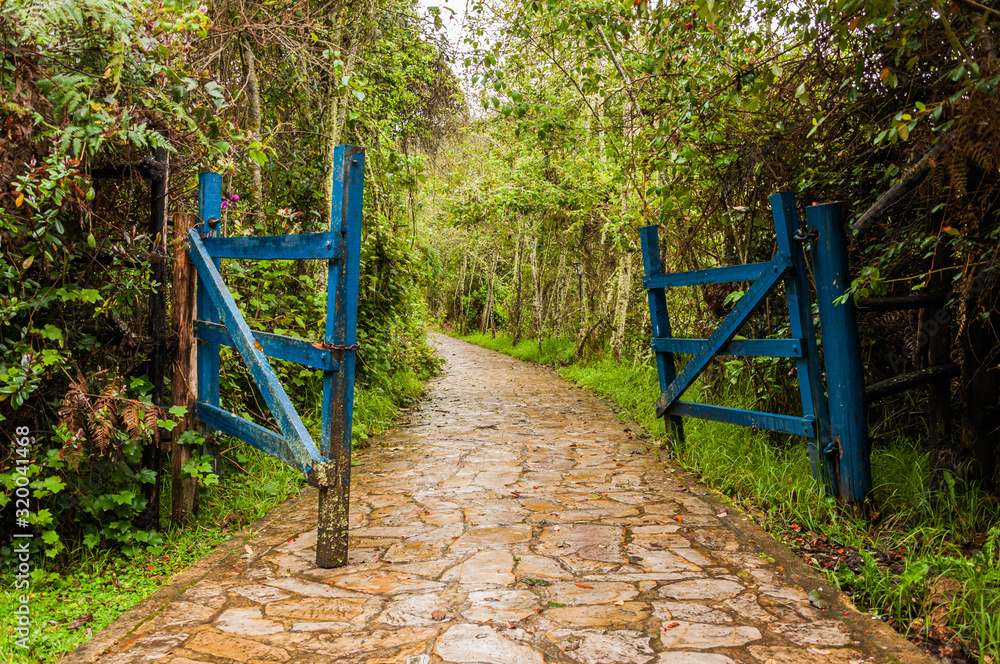 Open gate on the stone footpath in tropical forest Open gate on the stone footpath in tropical forest