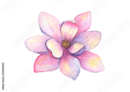 Watercolor beautiful magnol...