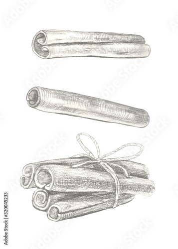 Hand drawn cinnamon illustration isolated on white background.