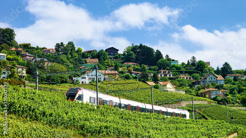 Running train at the railroad near Lavaux Vineyard Terrace hiking trail, Lavaux-Oron district, Switzerland photo