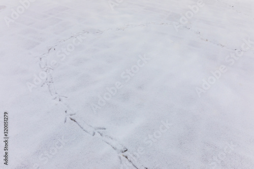 footprints of birds on the cobblestones