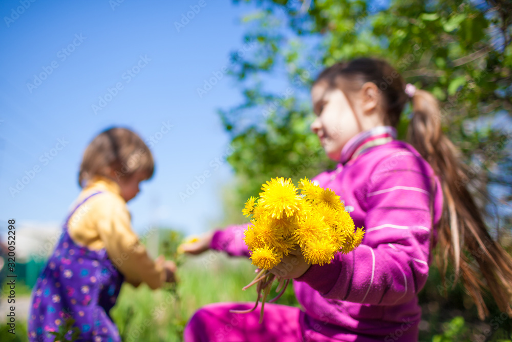 Girl sitting on grass and giving blooming yellow dandelion flower to small boy in blue jumpsuit outdoors on green nature on summer sunny clear day. Happy childhood concept Girl sitting on grass and giving blooming yellow dandelion flower to small boy in blue jumpsuit outdoors on green nature on summer sunny clear day. Happy childhood concept