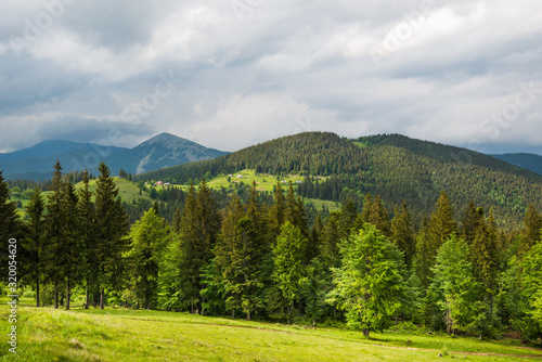 Bewitching beautiful summer landscape of green meadows