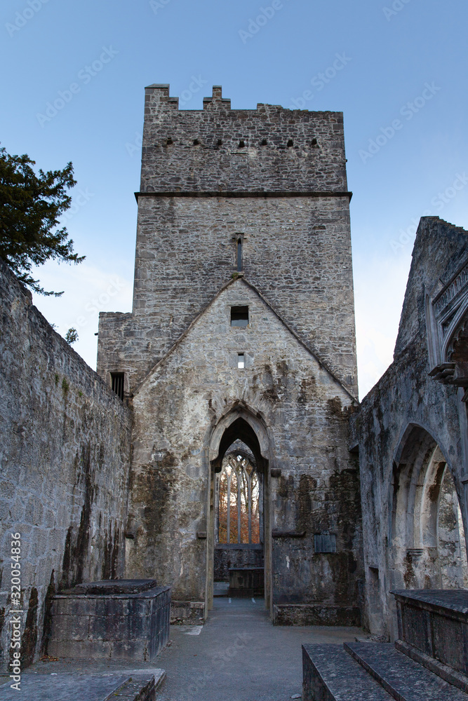 Muckross Abbey, Ireland, UK