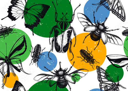 Tropical insects seamless pattern. Vector backdrop with hand drawn beetles and butterflies. Vintage entomological background. Jungle design with realistic  tropical insects.