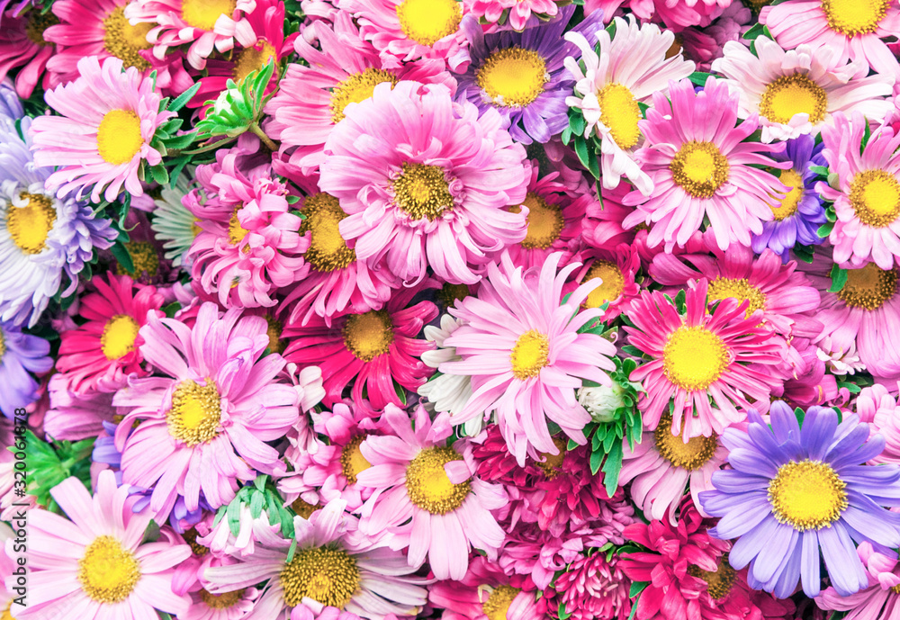 Bright pink flowers background Bright pink flowers background