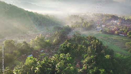 Morning fog above palm trees, jungles and rice fields. Bali