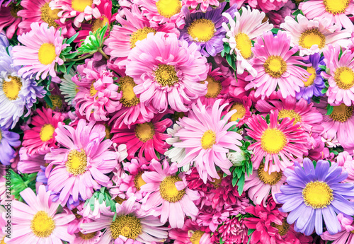 Bright pink flowers background © Andrii Vergeles