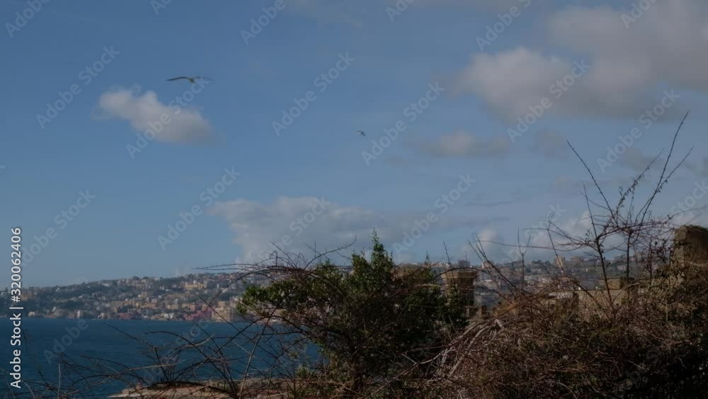 Nápoles. Bahía y gaviotas. Campania, Italia, Europa. Nápoles. Bahía y gaviotas. Campania, Italia, Europa.