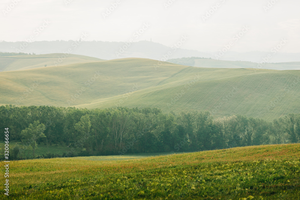 Beautiful countryside landscape in Val d'Orcia area in Tuscany, Italy