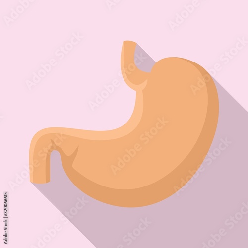 Body stomach icon. Flat illustration of body stomach vector icon for web design