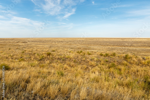 Landscape of the deserted steppe. Kazakhstan. steppe in Kazakhstan