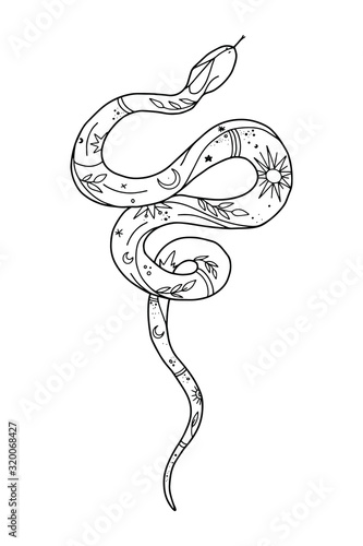Vintage line snake. Vector illustration.  Collection of Mystical and Mysterious objects. Line art illustration isolated on white background.