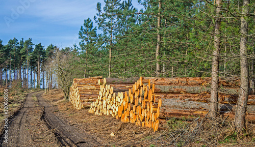 Logging in Moray