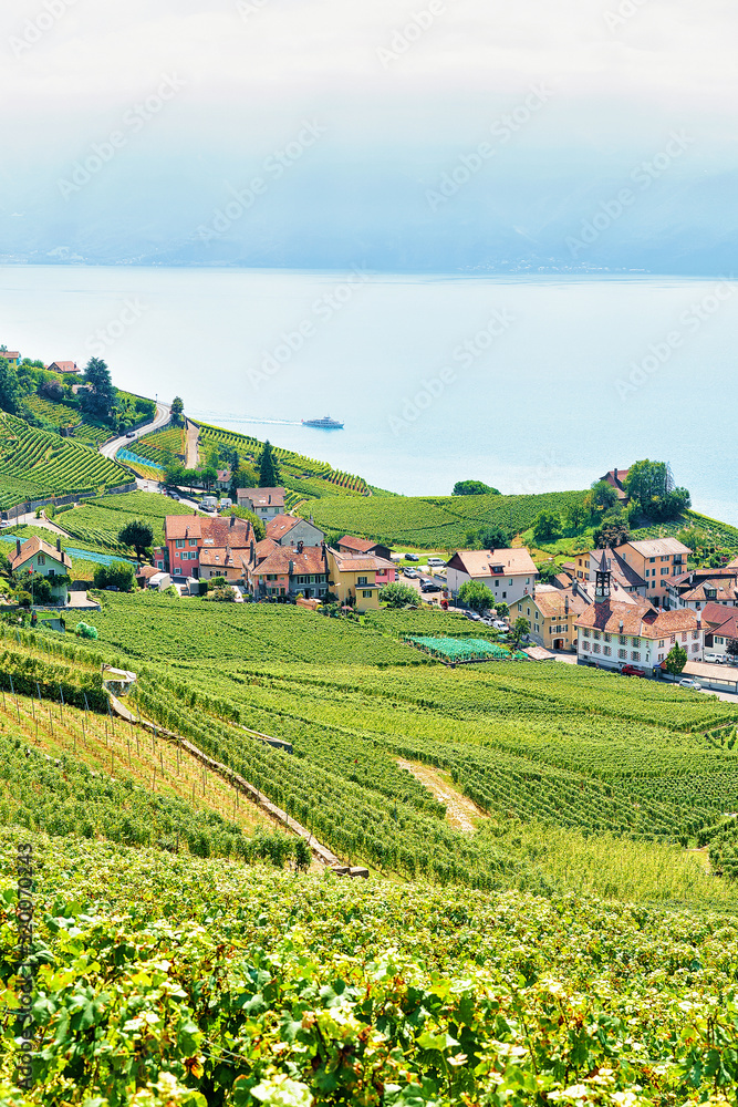 Lavaux Vineyard Terraces hiking route, Lake Geneva and Swiss mountains, Lavaux-Oron district of Swiss