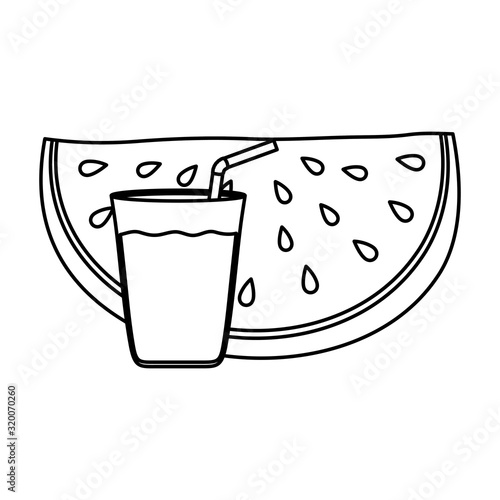 fresh watermelon with juice fruit