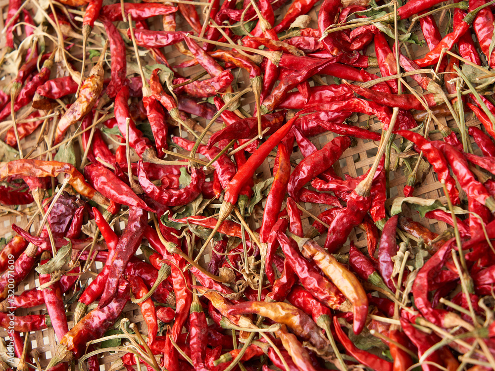 Fototapeta premium 唐辛子 複数 アップ