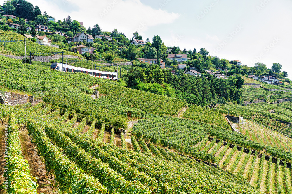 Running train near Lavaux Vineyard Terraces hiking trail, Lavaux-Oron district in Swiss