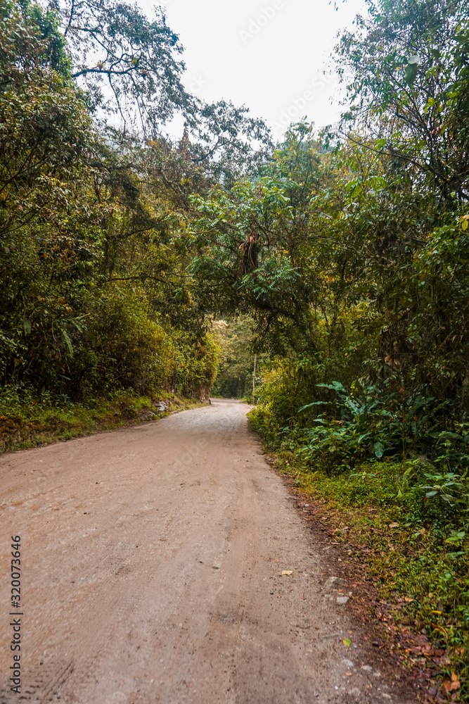 Beautiful paths to the jungle Beautiful paths to the jungle