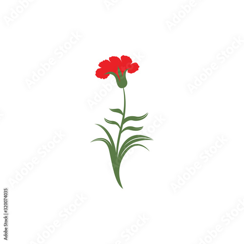 Vector illustration of a carnation flower