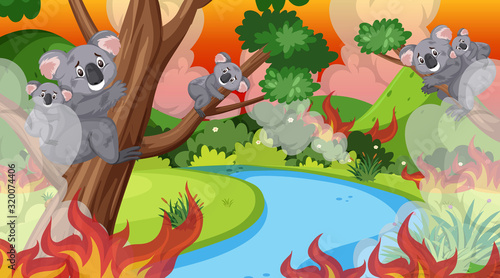 Scene with big wildfire in the forest full of koalas