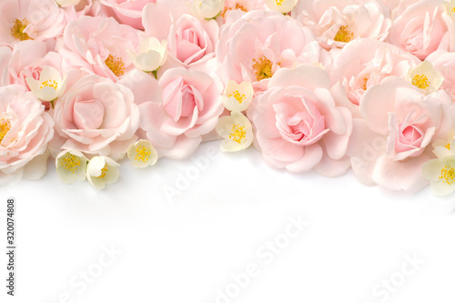 Summer blossoming roses and jasmine on white background. Blooming flowers spring background. Fragrant bouquet. Flower card. Pastel colors. Holiday backdrop