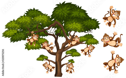 Big green tree and many monkeys on white background