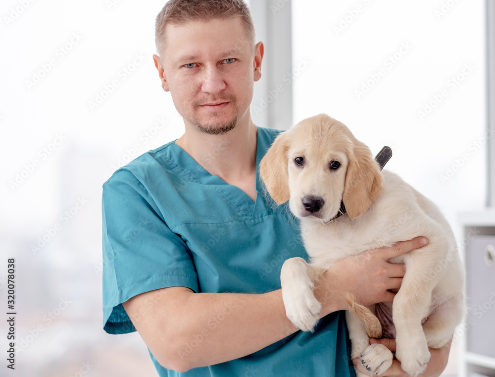 Vet holding healthy dog