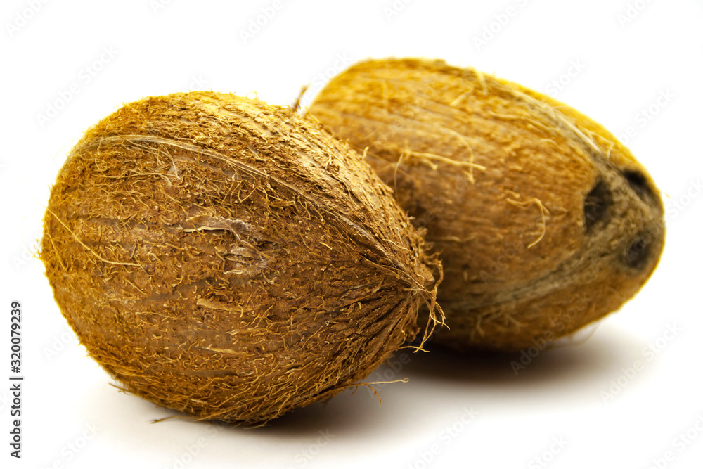 Fresh whole coconuts isolated on white background close up view. Selective focus. Copy space. Fresh whole coconuts isolated on white background close up view. Selective focus. Copy space.