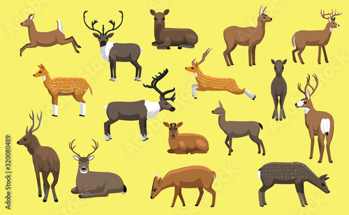 Various Deer Cute Cartoon Vector Illustration