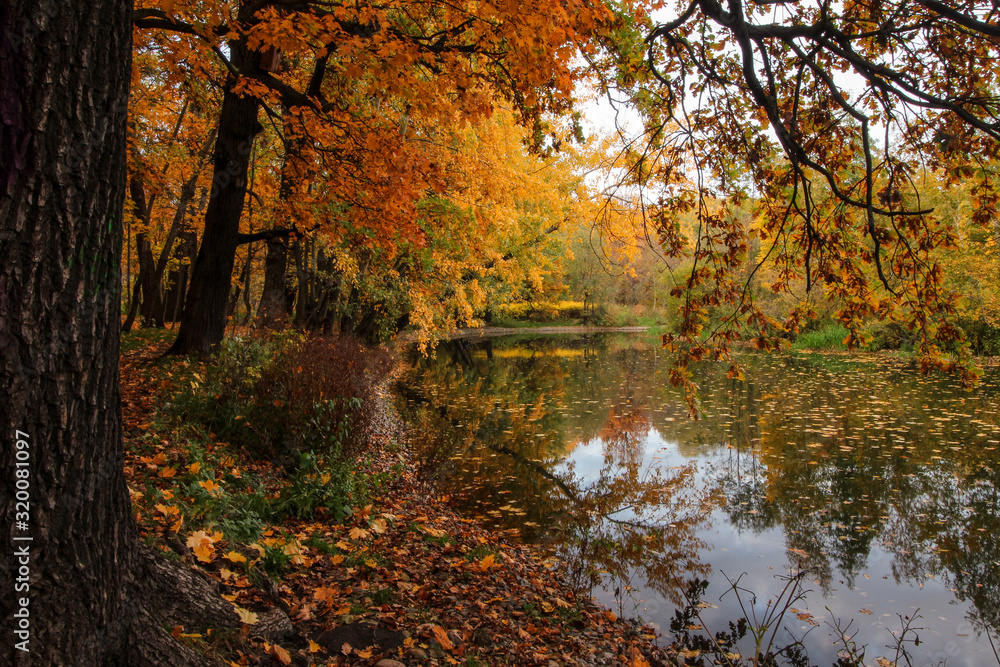 Photo taken in Moscow in October in the Park Pokrovskoe Streshnevo. It's still warm this time of year, but the leaves are already Golden. All these colors are beautifully reflected in the water.