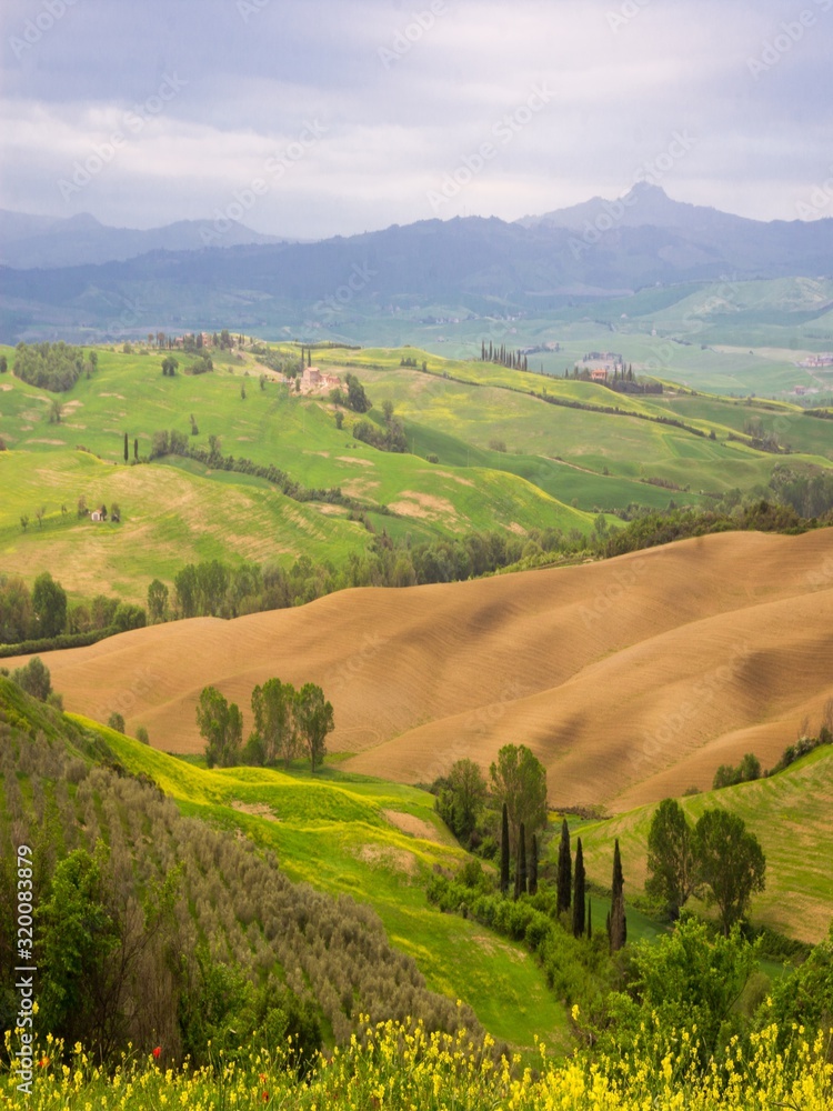 green rolling hills in Val d'Orcia in Tuscany