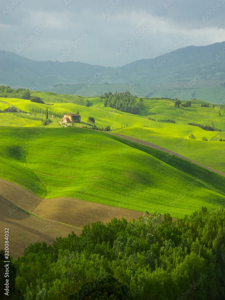 green rolling hills in Val d'Orcia in Tuscany