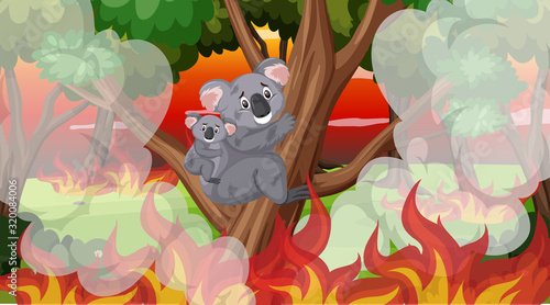 Scene with big wildfire with koalas trapped in the forest