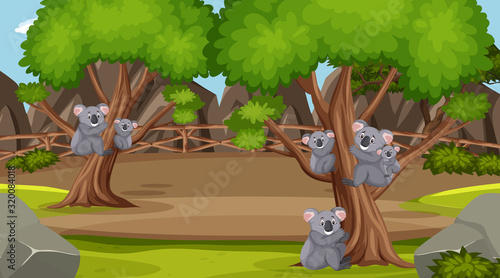 Scene with wild animals in the zoo at day time